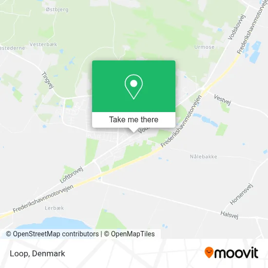 Loop map