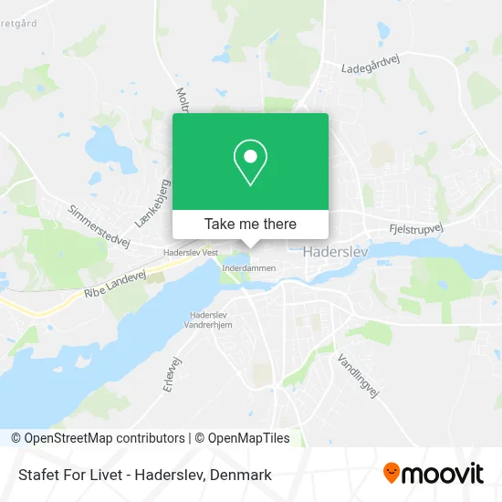Stafet For Livet - Haderslev map