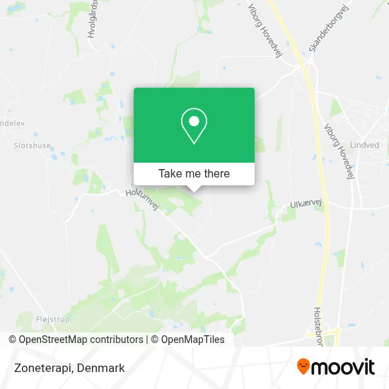 Zoneterapi map