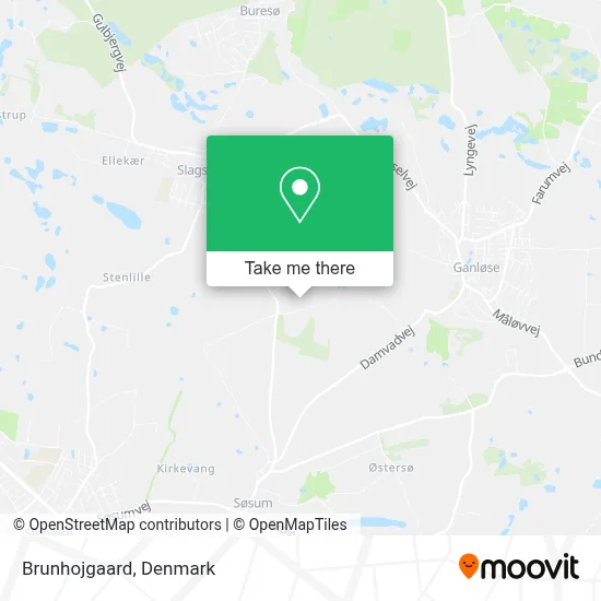 Brunhojgaard map
