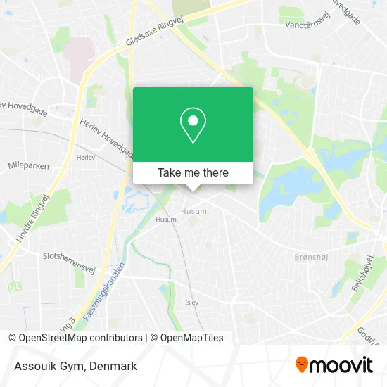Assouik Gym map