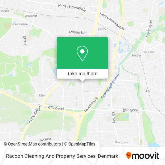 Racoon Cleaning And Property Services map