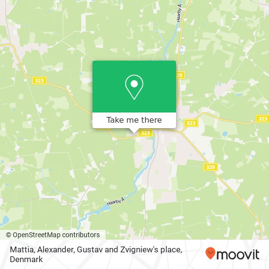 Mattia, Alexander, Gustav and Zvigniew's place map