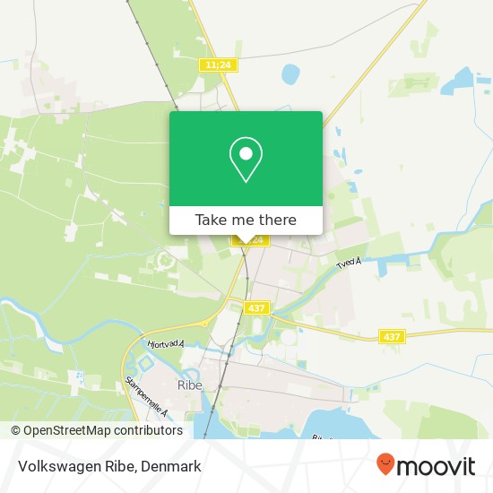 Volkswagen Ribe map
