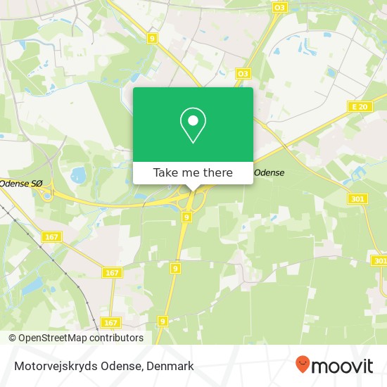 Motorvejskryds Odense map