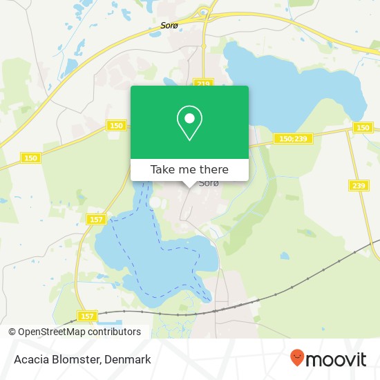 Acacia Blomster map