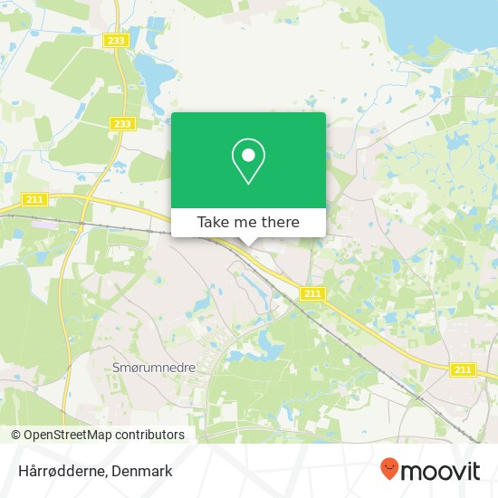 Hårrødderne map