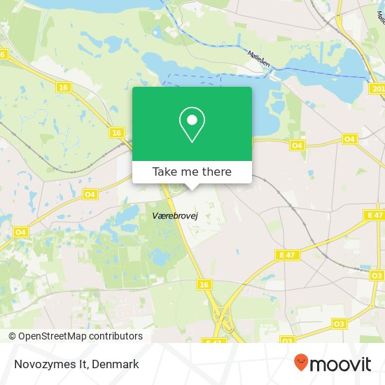 Novozymes It map