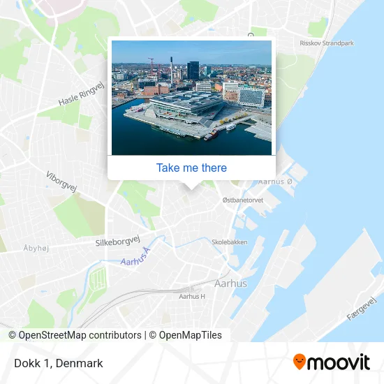 Dokk 1 map