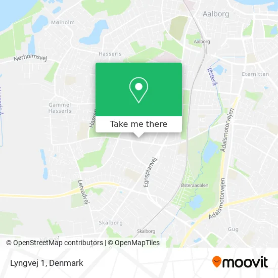Lyngvej 1 map