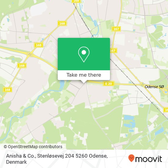 Anisha & Co., Stenløsevej 204 5260 Odense map