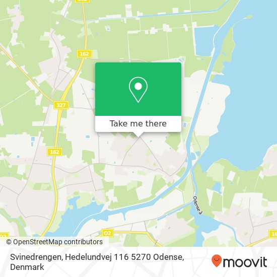 Svinedrengen, Hedelundvej 116 5270 Odense map