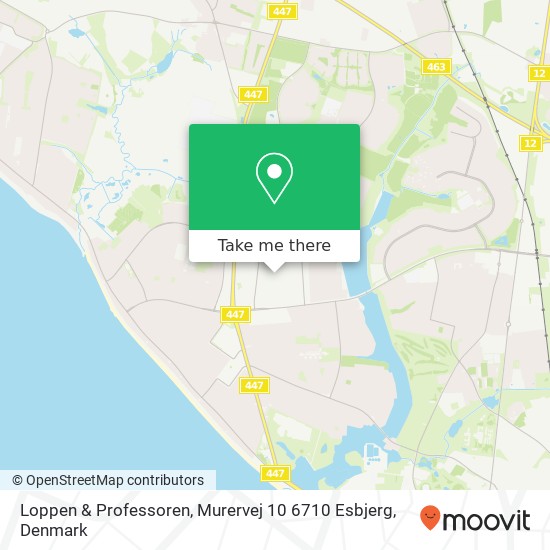 Loppen & Professoren, Murervej 10 6710 Esbjerg map