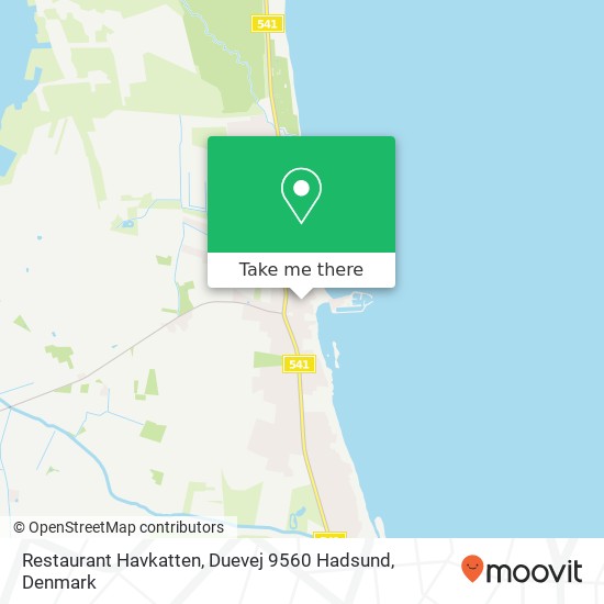 Restaurant Havkatten, Duevej 9560 Hadsund map