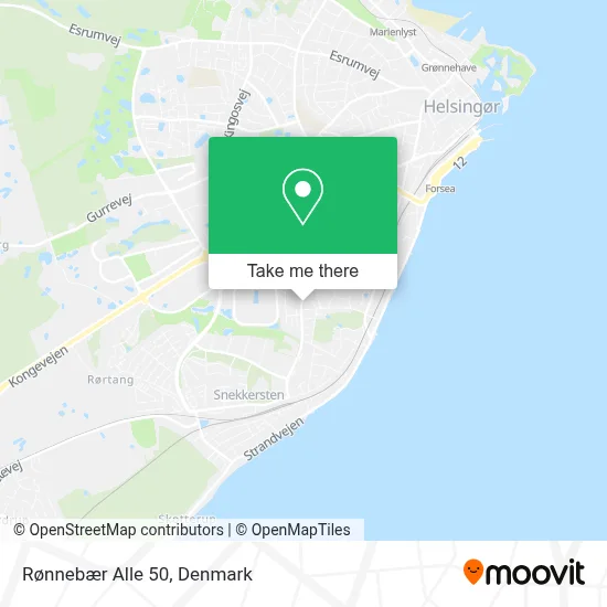 Rønnebær Alle 50 map