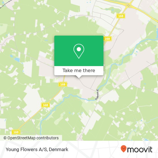 Young Flowers A/S map