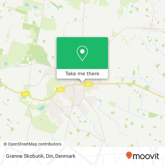 Grønne Skobutik, Din map