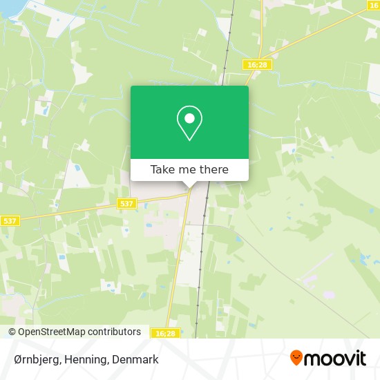Ørnbjerg, Henning map