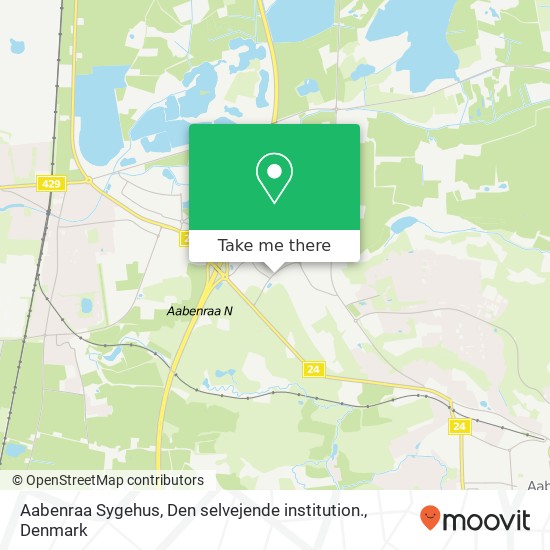 Aabenraa Sygehus, Den selvejende institution. map