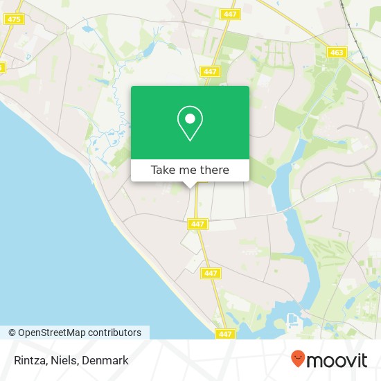 Rintza, Niels map