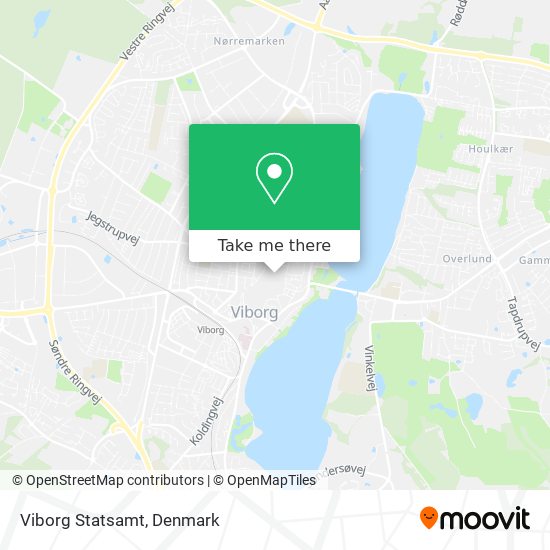 Viborg Statsamt map