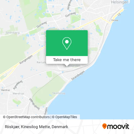 Riiskjær, Kinesilog Mette map