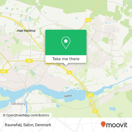 Baunehøj, Salon map