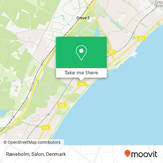 Ræveholm, Salon map