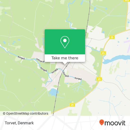 Torvet map