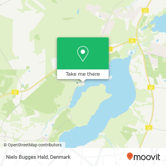 Niels Bugges Hald map