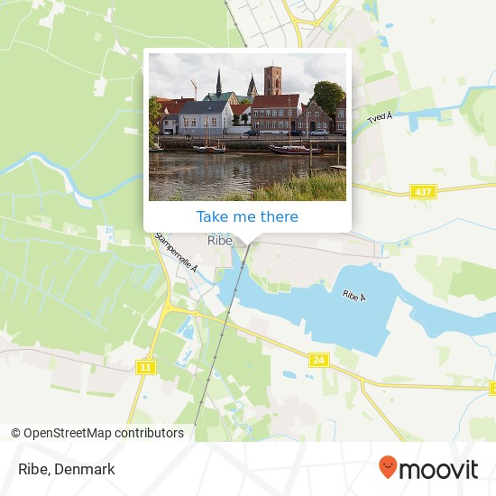 Ribe map