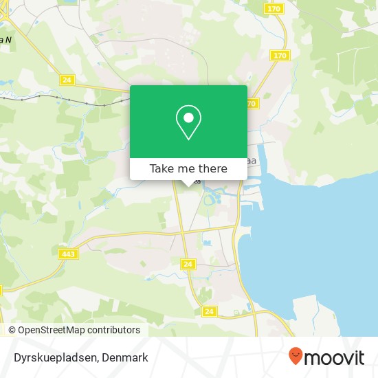 Dyrskuepladsen map