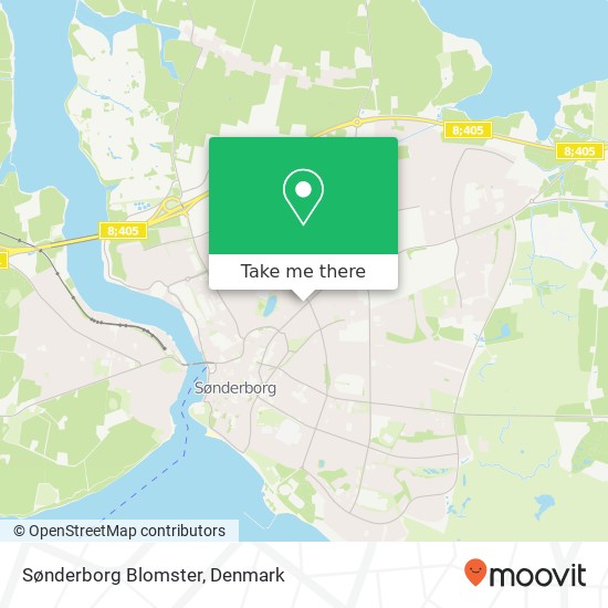 Sønderborg Blomster map