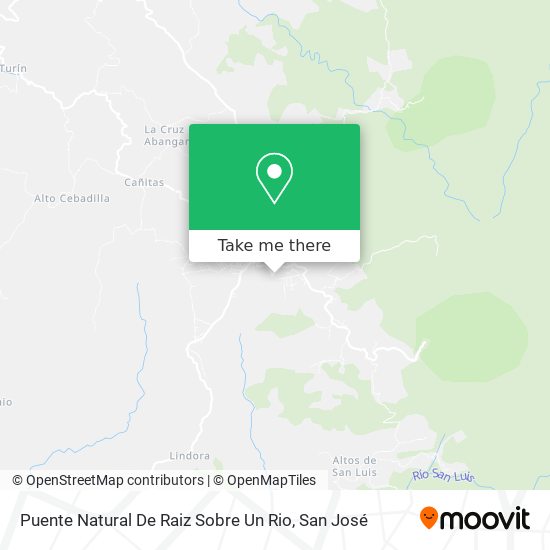 Mapa de Puente Natural De Raiz Sobre Un Rio
