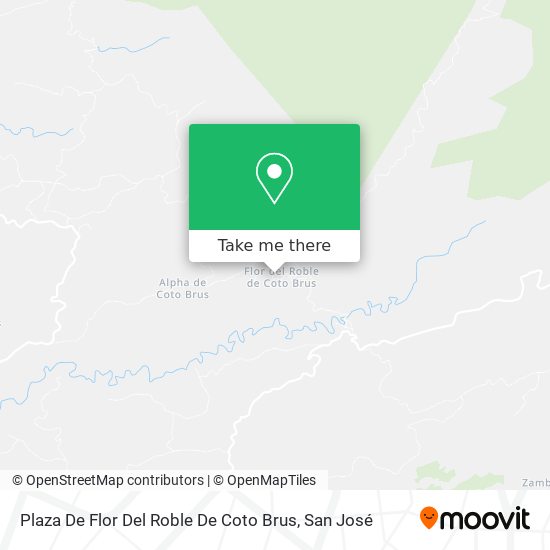 Plaza De Flor Del Roble De Coto Brus map