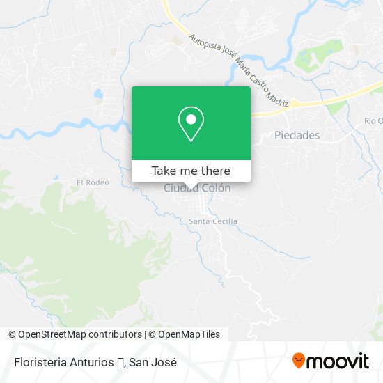Floristeria Anturios 💐 map