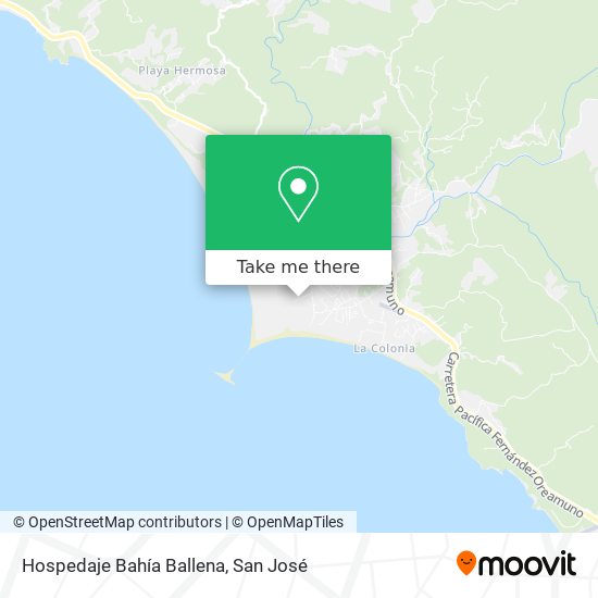 Hospedaje Bahía Ballena map