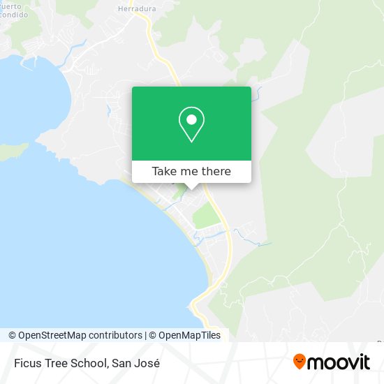 Mapa de Ficus Tree School