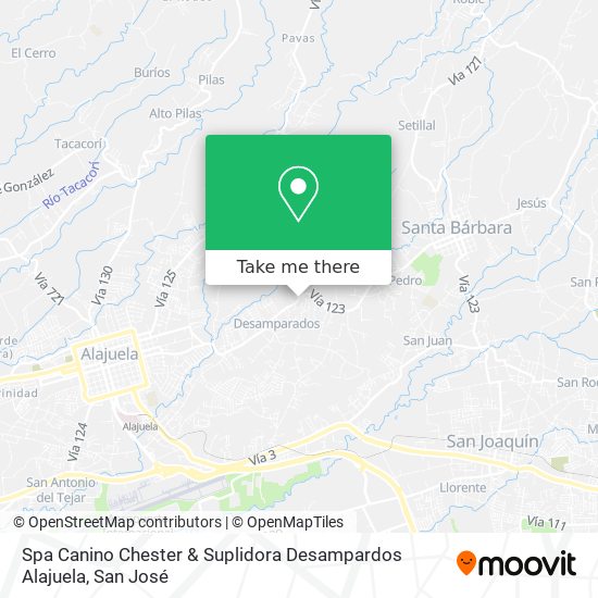 Spa Canino Chester & Suplidora Desampardos Alajuela map