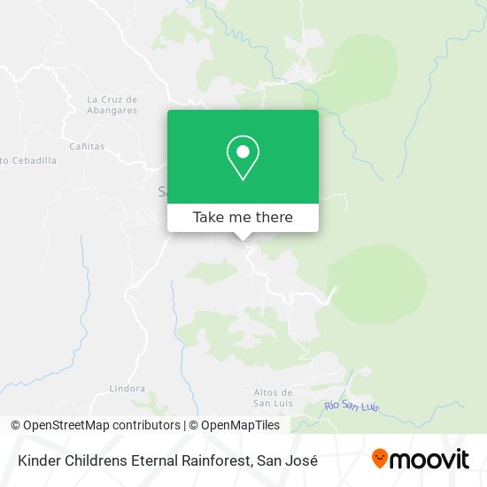 Kinder Childrens Eternal Rainforest map