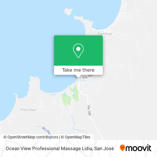 Mapa de Ocean View Professional Massage Lidia