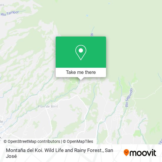 Montaña del Koi. Wild Life and Rainy Forest. map
