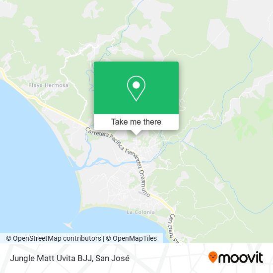 Jungle Matt Uvita BJJ map