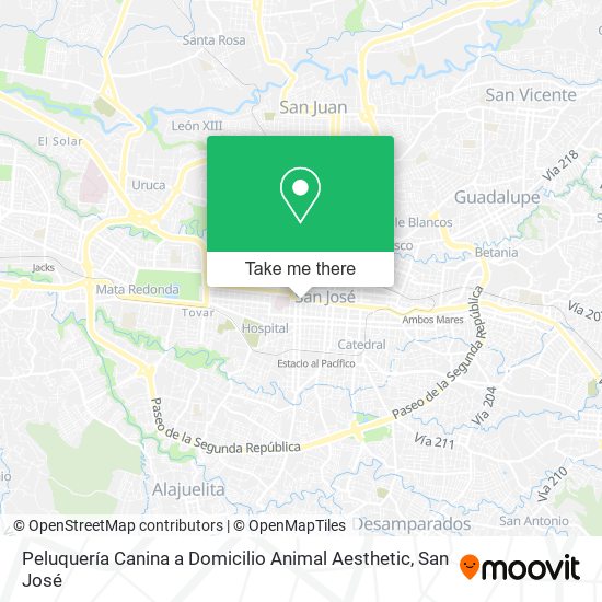 Peluquería Canina a Domicilio Animal Aesthetic map