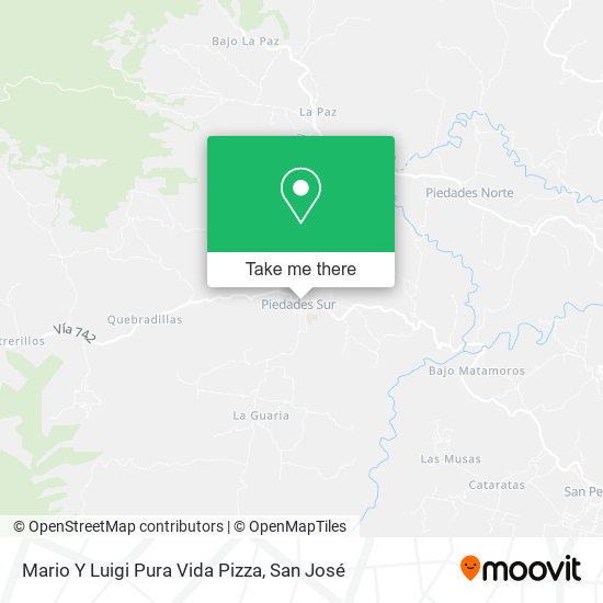 Mario Y Luigi Pura Vida Pizza map