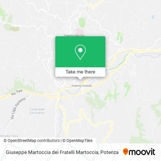 Giuseppe Martoccia dei Fratelli Martoccia map