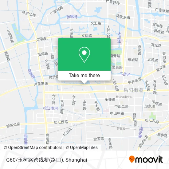 G60/玉树路跨线桥(路口) map