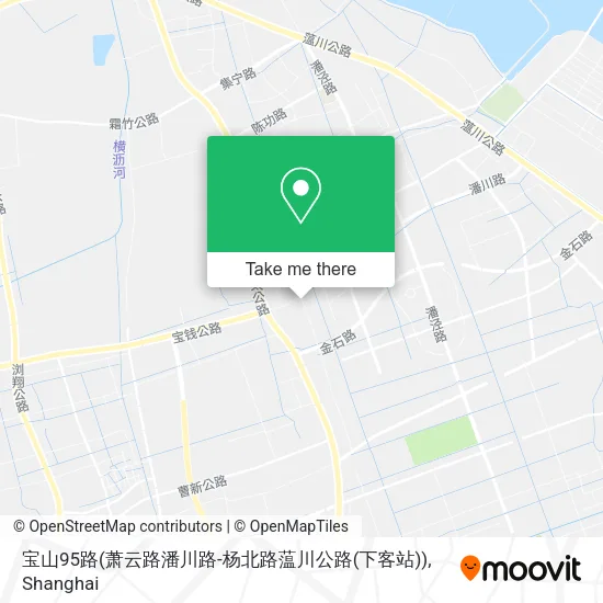 宝山95路(萧云路潘川路-杨北路蕰川公路(下客站)) map