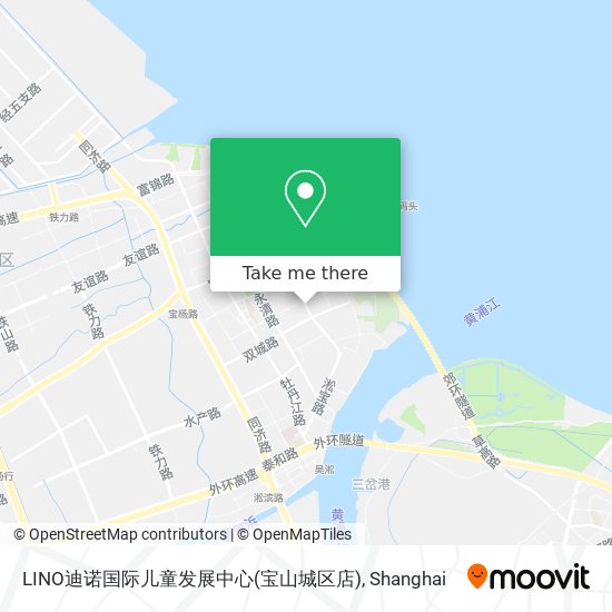 LINO迪诺国际儿童发展中心(宝山城区店) map