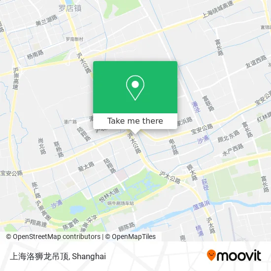 上海洛狮龙吊顶 map
